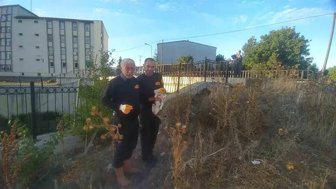 Kastamonu'da engelli kedi itfaiye tarafından kurtarıldı