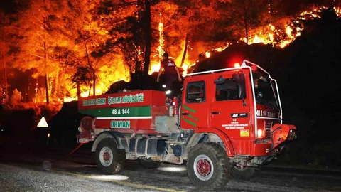 Muğla'da orman yangınında 2 bin 309 hektar alan yandı