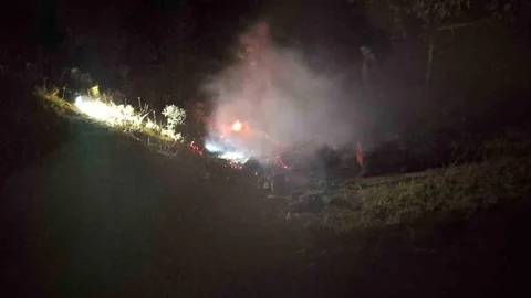 Bingöl'de Orman Yangını Kontrol Altına Alındı