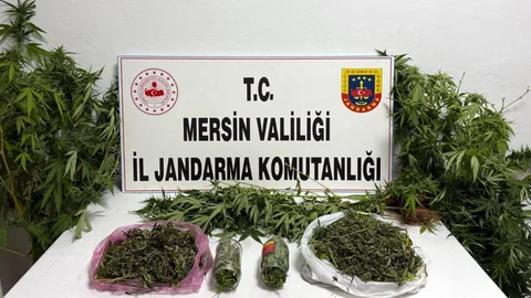 Mersin'de "jandarmadan Uyuşturucu Madde Operasyonu"