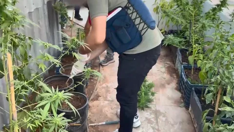 Mersin'de Jandarma, uyuşturucu operasyonunda 2 kişiyi yakaladı