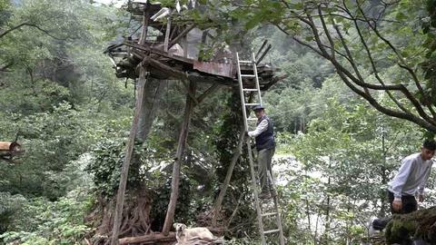 Rize'de karakovan balı fiyatları Anzer Balı'nı solladı