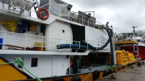 Trabzon'da hamsi avına çıkan balıkçılar, 300 kg patlayıcı içeren bir insansız deniz aracı buldu.