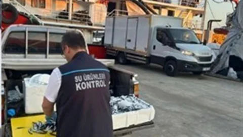Trabzon'da usulsüz hamsi çıkışına ceza uygulandı