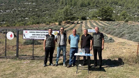 Adana'da Lavanta Ağaçlandırma Projesi