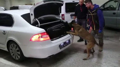 Bolu'da kaçakçılık operasyonunda 6 gözaltı