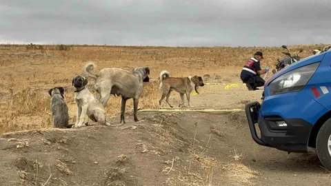 Edirne'de Köpek Kavgası Cinayetle Sonuçlandı