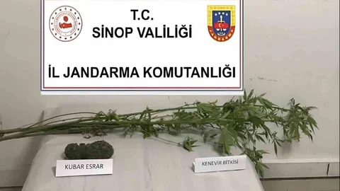 Sinop'ta kenevir ve uyuşturucu madde ele geçirildi