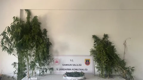 Samsun'da jandarma ekipleri, Atakum ve Tekkeköy ilçelerinde iki ayrı uyuşturucu operasyonu düzenleyerek 3 kişiyi gözaltına aldı.