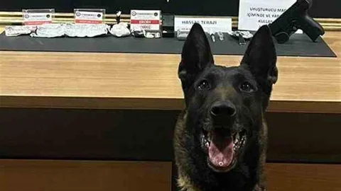 Bayburt'ta Narkotik Operasyonu