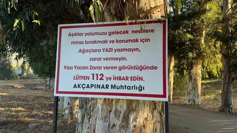 Muğla'da ağaçlara yazı yazanlar uyarıldı