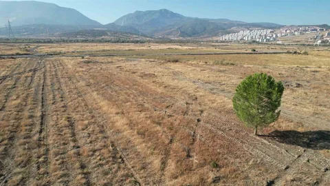 Manisa'da BYD Fabrikasında Sessizlik Sürüyor