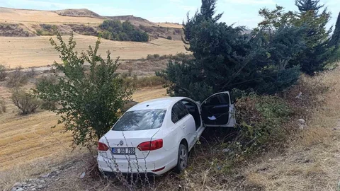 Adıyaman'da otomobil şarampole yuvarlandı, 2 kişi yaralandı.