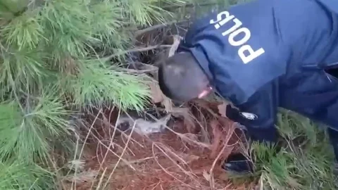 Samsun'da kaçak avcılık tuzağı ele geçirildi