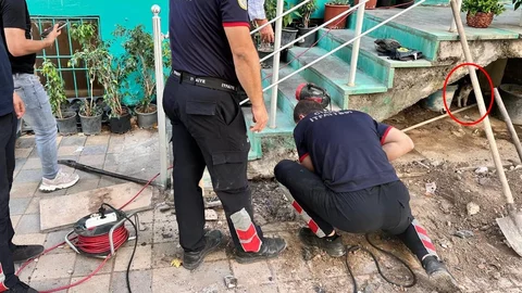 Şırnak'ta yavru kedi merdiven boşluğundan kurtarıldı