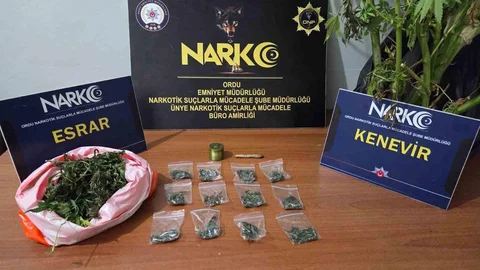 Ordu'da Uyuşturucu Operasyonunda İki Tutuklama