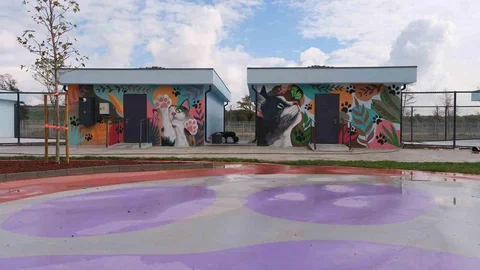 Sakarya'da Doğal Yaşam Kampüsü'nde grafiti sanatı hayat buldu