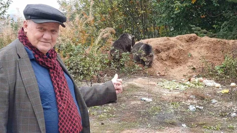 Kastamonu'da yavru ayılar, annelerini kaybettikten sonra ilginin odağı haline geldi.