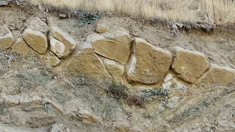 Yüksekova'da tarihi buluntu heyecanı esnafı heyecanlandırdı