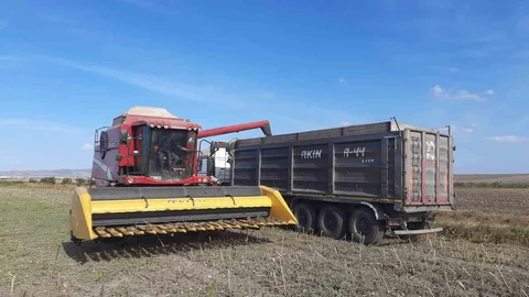 Balıkesir'de Ayçiçeği Hasadı Tamamlandı