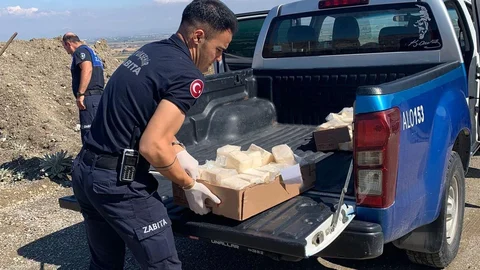 Manisa'da bozuk peynir imha edildi