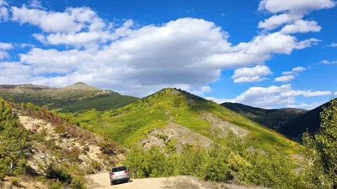 Gümüşhane'de sonbahar renkleri göz kamaştırıyor