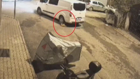 Hatay'da minibüs sürücüsü kediyi ezip yoluna devam etti