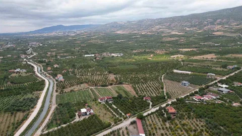 Tokat'ta Meyvecilikte Çiçeklenme Kimyasallarla Ertelenemez