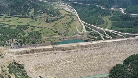 Amasya'da yok olma tehlikesiyle karşılaşan 'bağ havacivası' bitkisi kurtarıldı.