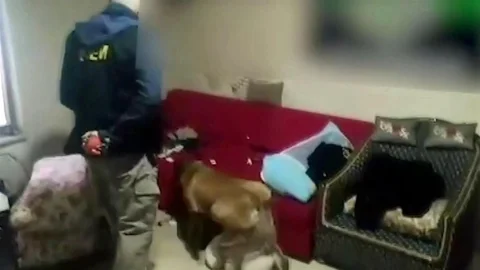 Sakarya'da sokak satıcılarına yönelik uyuşturucu operasyonu