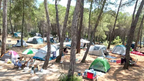 Akyaka Gökova Orman Kampı tatilcilerin yeni gözdesi oldu