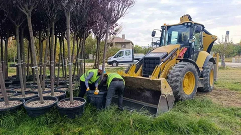 Van'da yeşillendirme çalışmaları