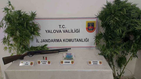 Yalova'da uyuşturucu operasyonu yapıldı