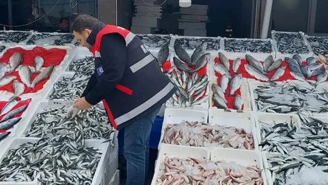 Samsun'da balık tezgahları denetlendi