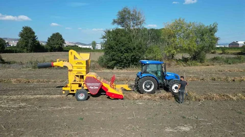 İnegöl'de Kuru Fasulye Hasadı Başladı