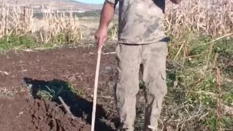 Elazığ'da Domuza Eğlenceli Tepki