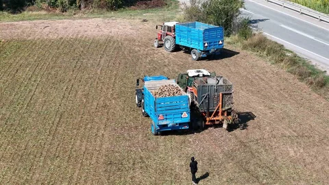 Erzincan'da pancar hasadı başladı