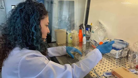 Diyabet yaralarına çözüm olacak bor destekli proje