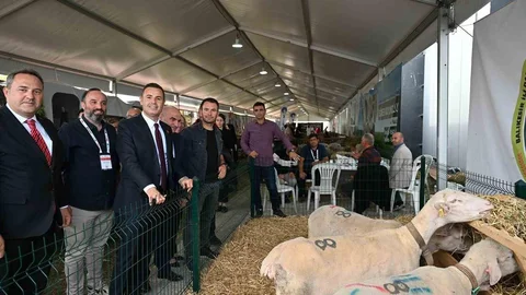 Balıkesir'de Tarım ve Hayvancılık Fuarı açıldı