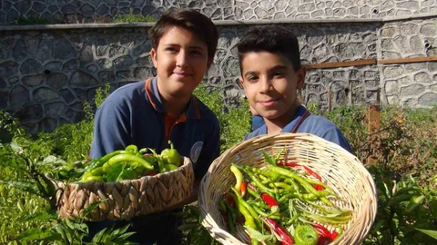 Minik eller, turşuyla büyük işlere imza atıyor