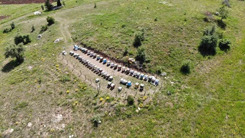 Bayburt'ta arılı kovan destekleme müracaatları başladı