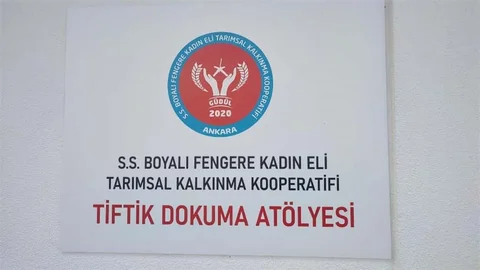 Ankara'da kadınlar tiftik keçisi yününden ürettikleri tekstil ürünlerini global pazara sunmayı planlıyor.