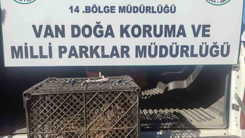 Van'da kafes avcılığı yapan bir şahsa 53 bin lira ceza kesilecek