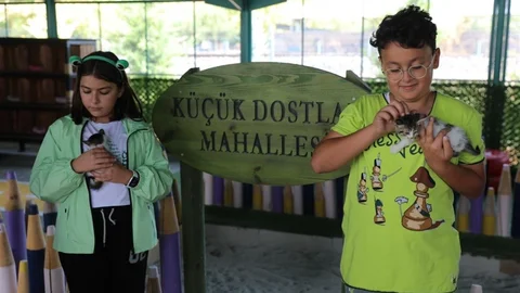 Kocasinan'da Sokak Hayvanları İçin Projeler