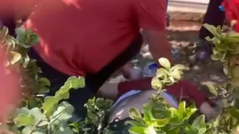 Mersin'de 7. Kattan Düşen Adam Ağır Yaralandı