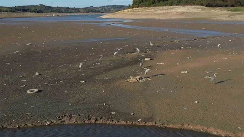 İstanbul'da Barajlar Alarm Veriyor