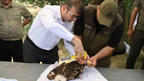 Tekirdağ'da doğa dostu projelerle kuşlar korunuyor