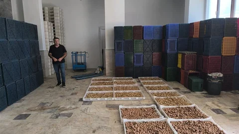 Köşk'te kuru incir depolarında sıkı denetim yapıldı