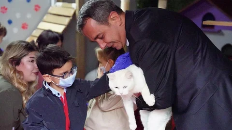 Beyoğlu'nda çocuklar barınaktaki hayvanlarla buluştu