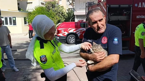 Antalya'da yangında kaybolduğu düşünülen kedi dolabın arkasında bulundu